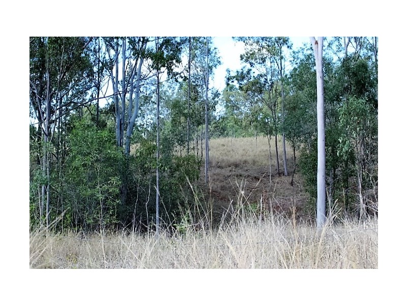 1195 Gin Gin Mt Perry Rd, Gin Gin QLD 4671