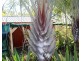 40 May St, Gin Gin QLD 4671