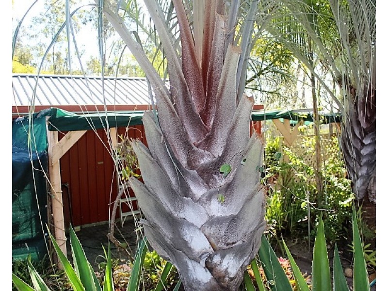40 May St, Gin Gin QLD 4671