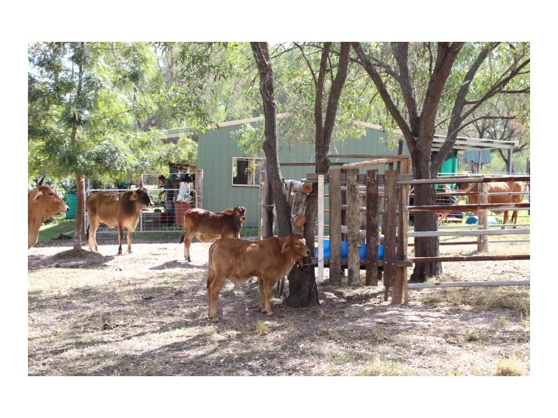 22 Scotneys Rd, Gin Gin QLD 4671