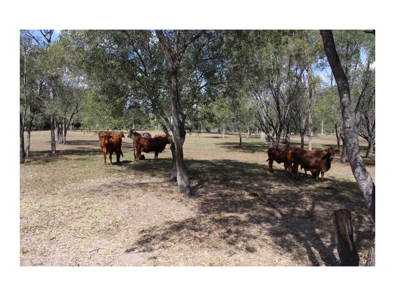 22 Scotneys Rd, Gin Gin QLD 4671
