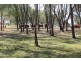 22 Scotneys Rd, Gin Gin QLD 4671