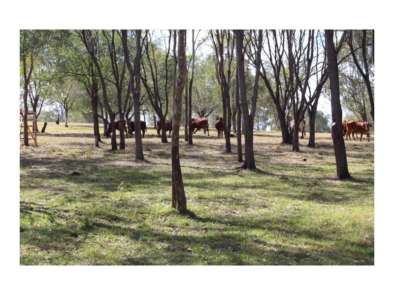 22 Scotneys Rd, Gin Gin QLD 4671