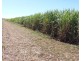 22 Faggs Rd, Gooburrum QLD 4670