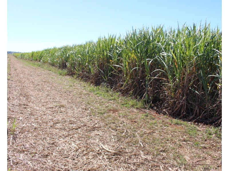 22 Faggs Rd, Gooburrum QLD 4670