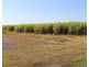 Gin Gin QLD 4671