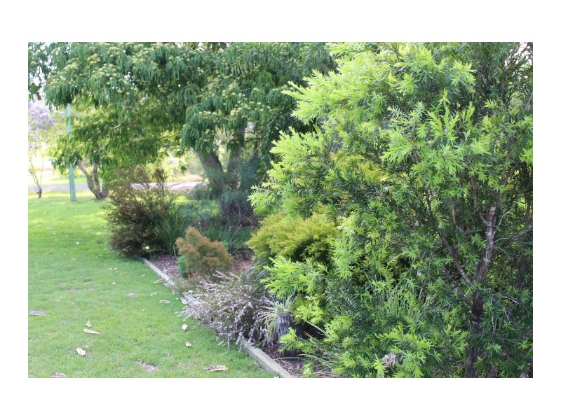 4 Ballantyne Boulevard, Gin Gin QLD 4671