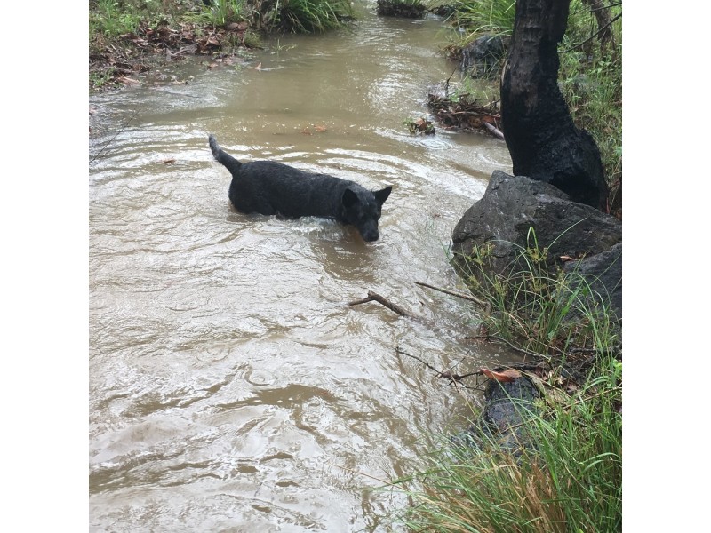 12 Phyllis Court, Gin Gin QLD 4671