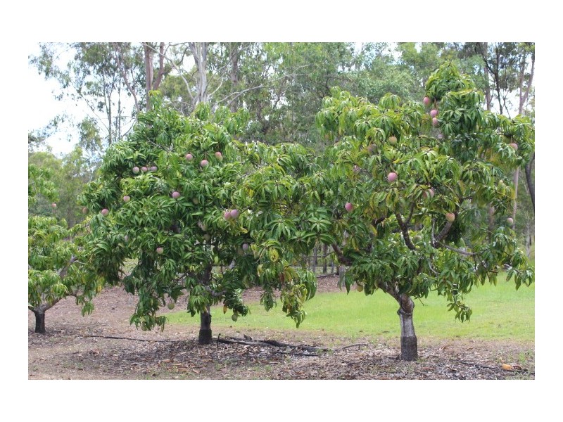 1516 Tableland Road, Gin Gin QLD 4671