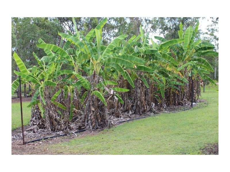 1516 Tableland Road, Gin Gin QLD 4671