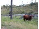 192 Tatchkes Rd, Gin Gin QLD 4671