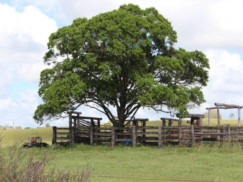 378 Ferry Hills Road, Wallaville QLD 4671