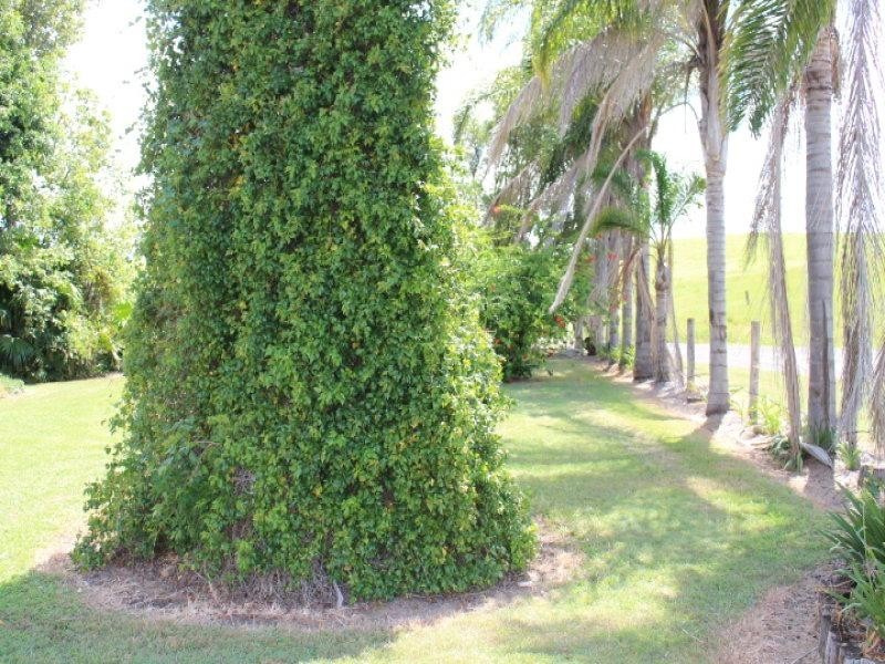 378 Ferry Hills Road, Wallaville QLD 4671