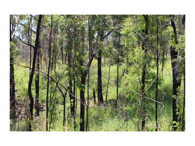 477 Doughboy Rd Doughboy, Gin Gin QLD 4671