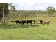 189 Stronachs Road, Gin Gin QLD 4671