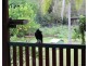 189 Thiels Rd, Gin Gin QLD 4671