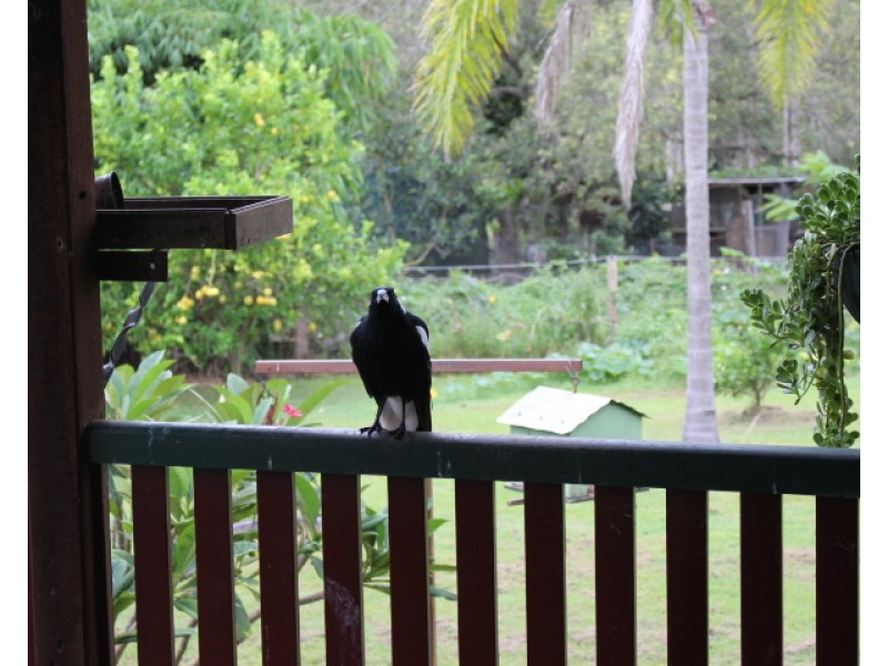 189 Thiels Rd, Gin Gin QLD 4671