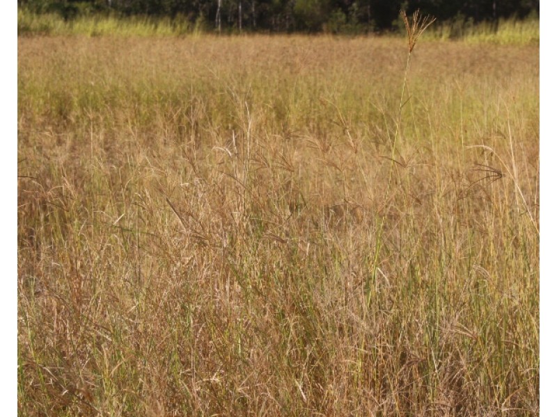 23 Songlark Ct, Gin Gin QLD 4671