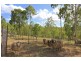 467 Horsecamp Rd, Gin Gin QLD 4671