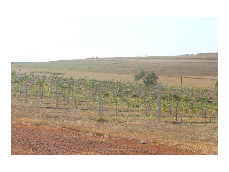 Lot 1 Wattawa Rd, Gin Gin QLD 4671