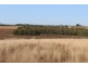 Lot 1 Wattawa Rd, Gin Gin QLD 4671