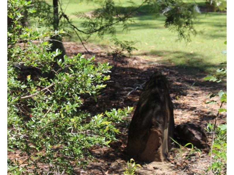 12 Gears, Bungadoo QLD 4671