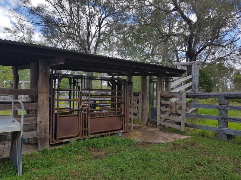 503 Walla St, Morganville QLD 4671