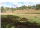 111 Rangview rd, Damascus QLD 4671