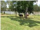 680 River Road, Bungadoo QLD 4671
