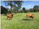 680 River Road, Bungadoo QLD 4671