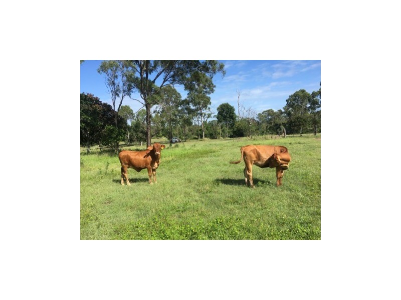 680 River Road, Bungadoo QLD 4671