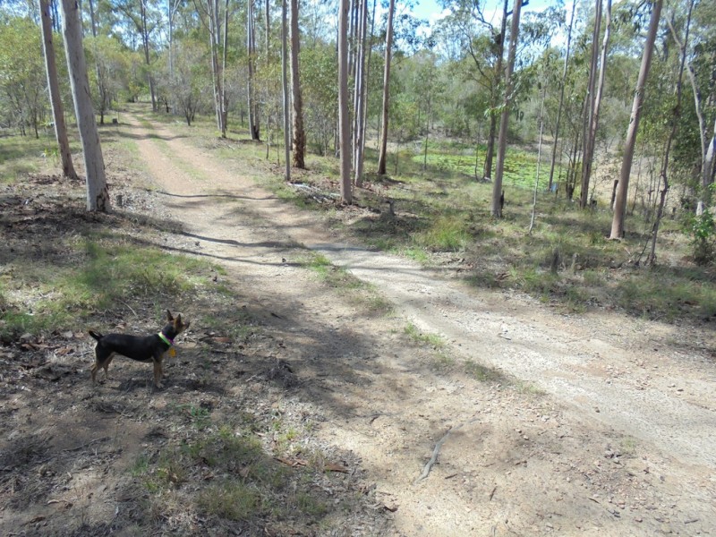 176 Bishops Rd, Gin Gin QLD 4671