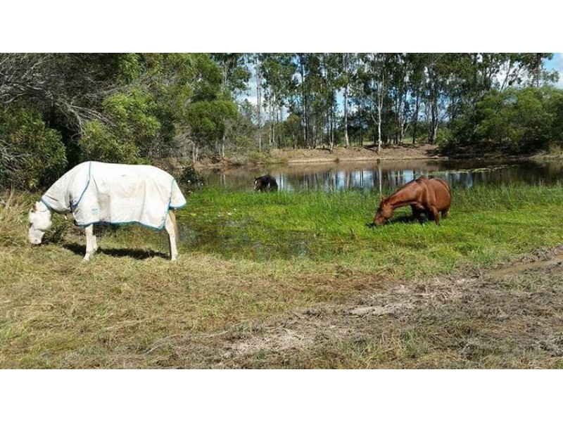 3363 Bundaberg Gin Gin Rd, Bungadoo QLD 4671