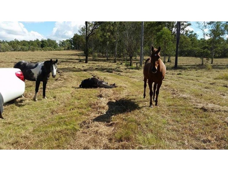 3363 Bundaberg Gin Gin Rd, Bungadoo QLD 4671