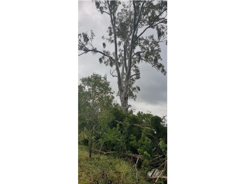 Lot 5 Walla Rd Morganville, Gin Gin QLD 4671