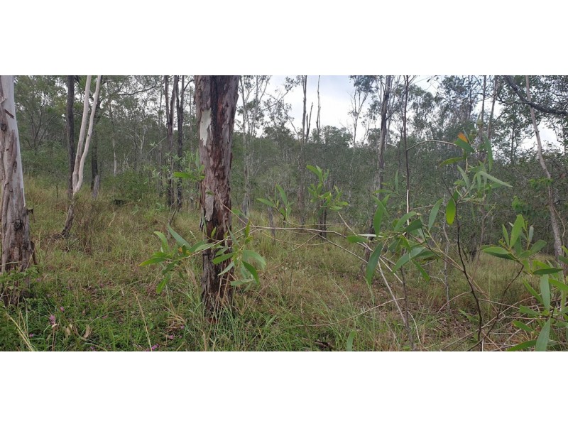 Lot 5 Walla Rd Morganville, Gin Gin QLD 4671
