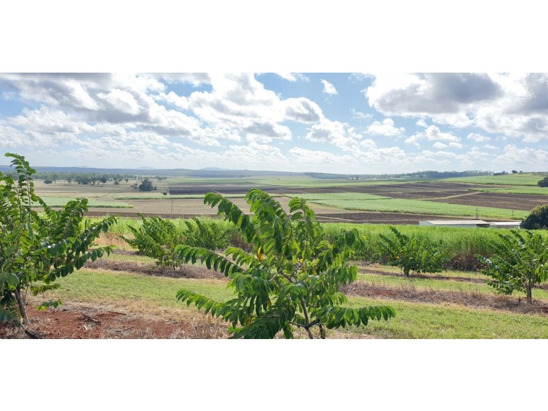 66 Plantations Road, Gin Gin QLD 4671