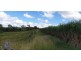 66 Plantations Road, Gin Gin QLD 4671