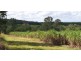66 Plantations Road, Gin Gin QLD 4671