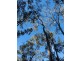 6 Gaeta Rd Gaeta, Gin Gin QLD 4671