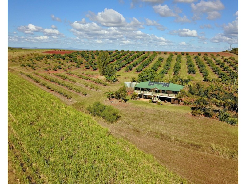 66 & 77 Plantation Road & St Kilda Road, Gin Gin QLD 4671