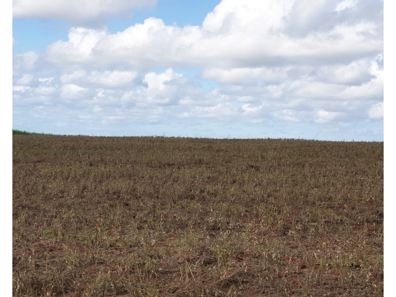 66 & 77 Plantation Road & St Kilda Road, Gin Gin QLD 4671