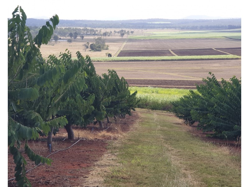 66 & 77 Plantation Road & St Kilda Road, Gin Gin QLD 4671
