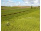 77 Wattawa Road, Gin Gin QLD 4671