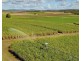 77 Wattawa Road, Gin Gin QLD 4671
