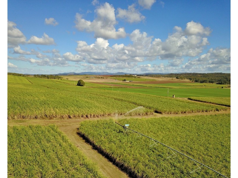 77 Wattawa Road, Gin Gin QLD 4671