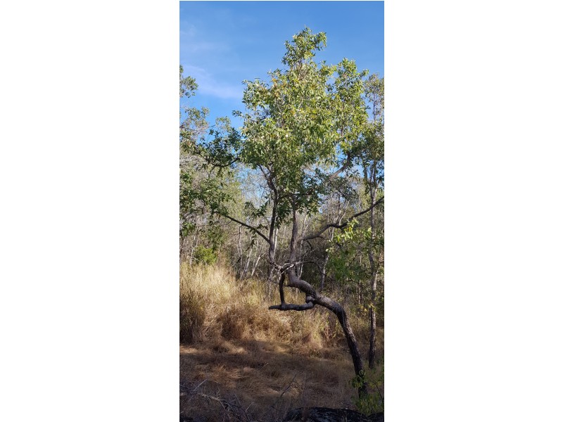 21E Claxton Road Kolonga, Gin Gin QLD 4671