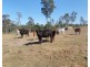 279 Myers Rd, Gin Gin QLD 4671