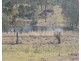 279 Myers Rd, Gin Gin QLD 4671