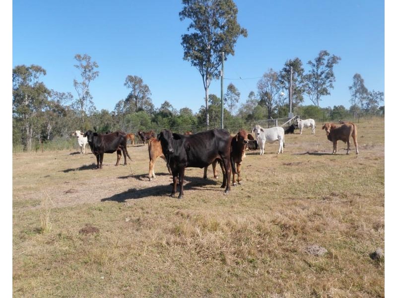 279 Myers Rd, Gin Gin QLD 4671